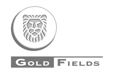 Gold Fields